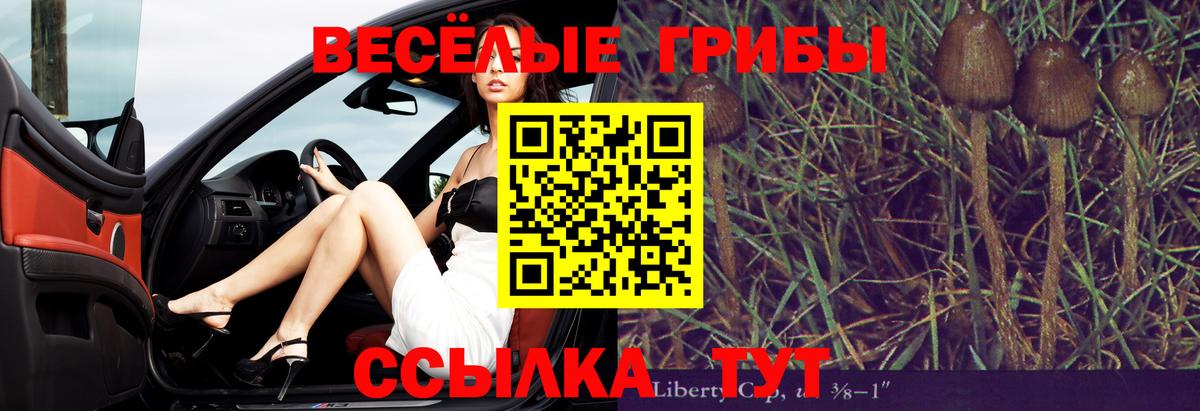 Псилоцибиновые грибы Magic Shrooms Печора
